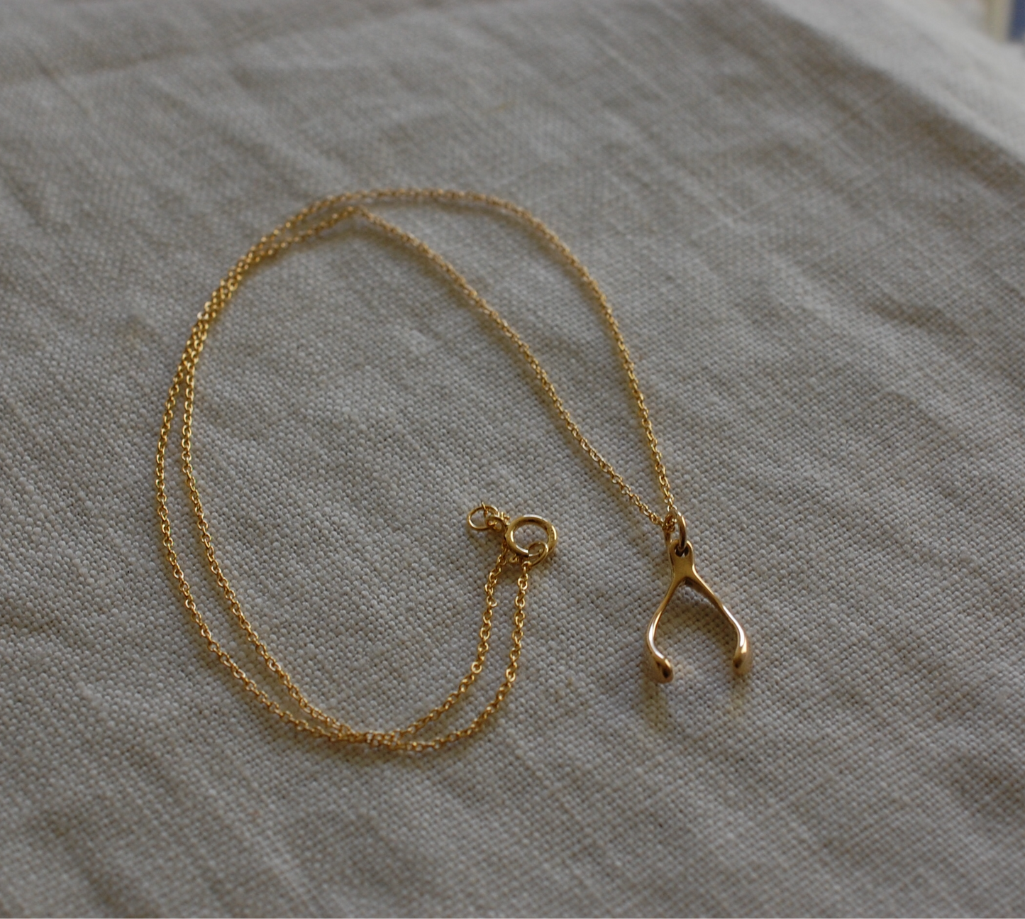 Gold Wishbone Necklace